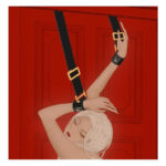 Обмежувачі для рук над дверимаUPKO Over the Door Hand Restraints