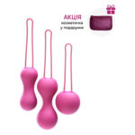 Набір вагінальних кульок Je Joue - Ami Fuchsia, діаметр 3,8-3,3-2,7см, вага 54-71-100гр + подарунок косметичка