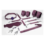Набір Feral Feelings BDSM Kit 7 Burgundy, наручники, поножі, конектор, маска, падл, кляп, затискачі